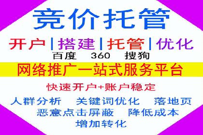 百度推广的成功案例：从零到一的突破